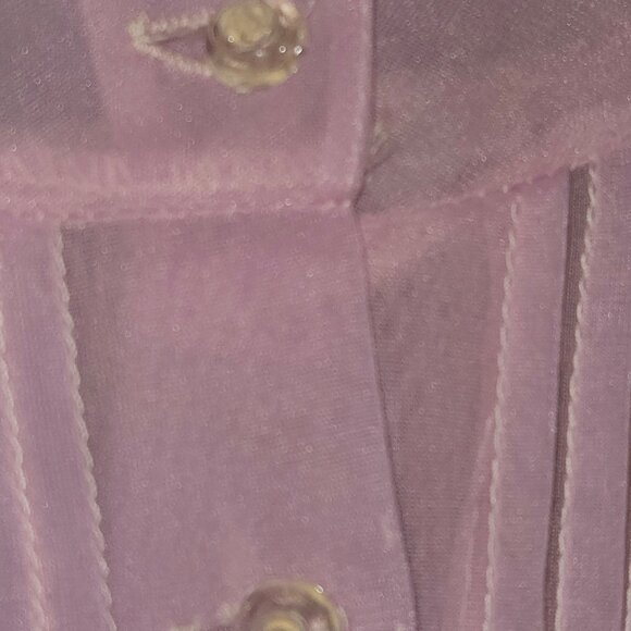 Chiffon Sheer Delicate Short Sleeved Top - Picture 4 of 4